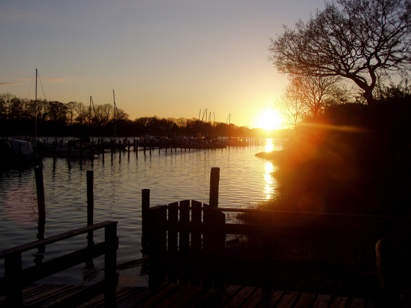 Sonnenuntergang an der Schlei