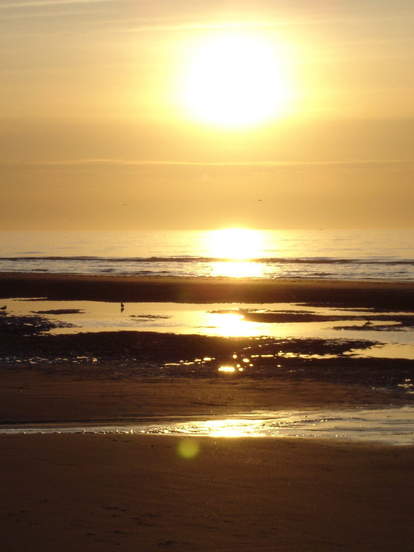 Sonnenuntergang an der See