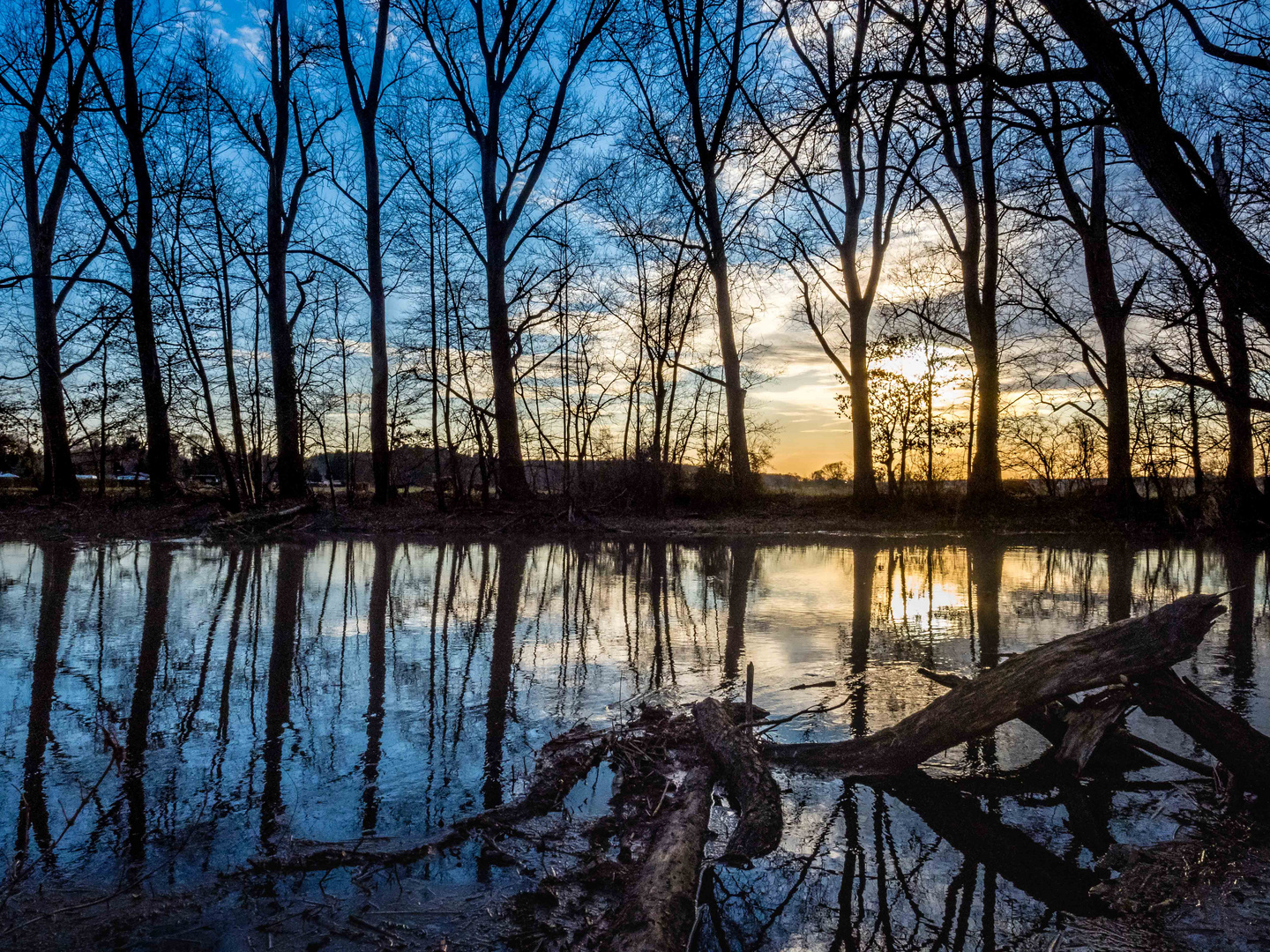 Sonnenuntergang an der Spree