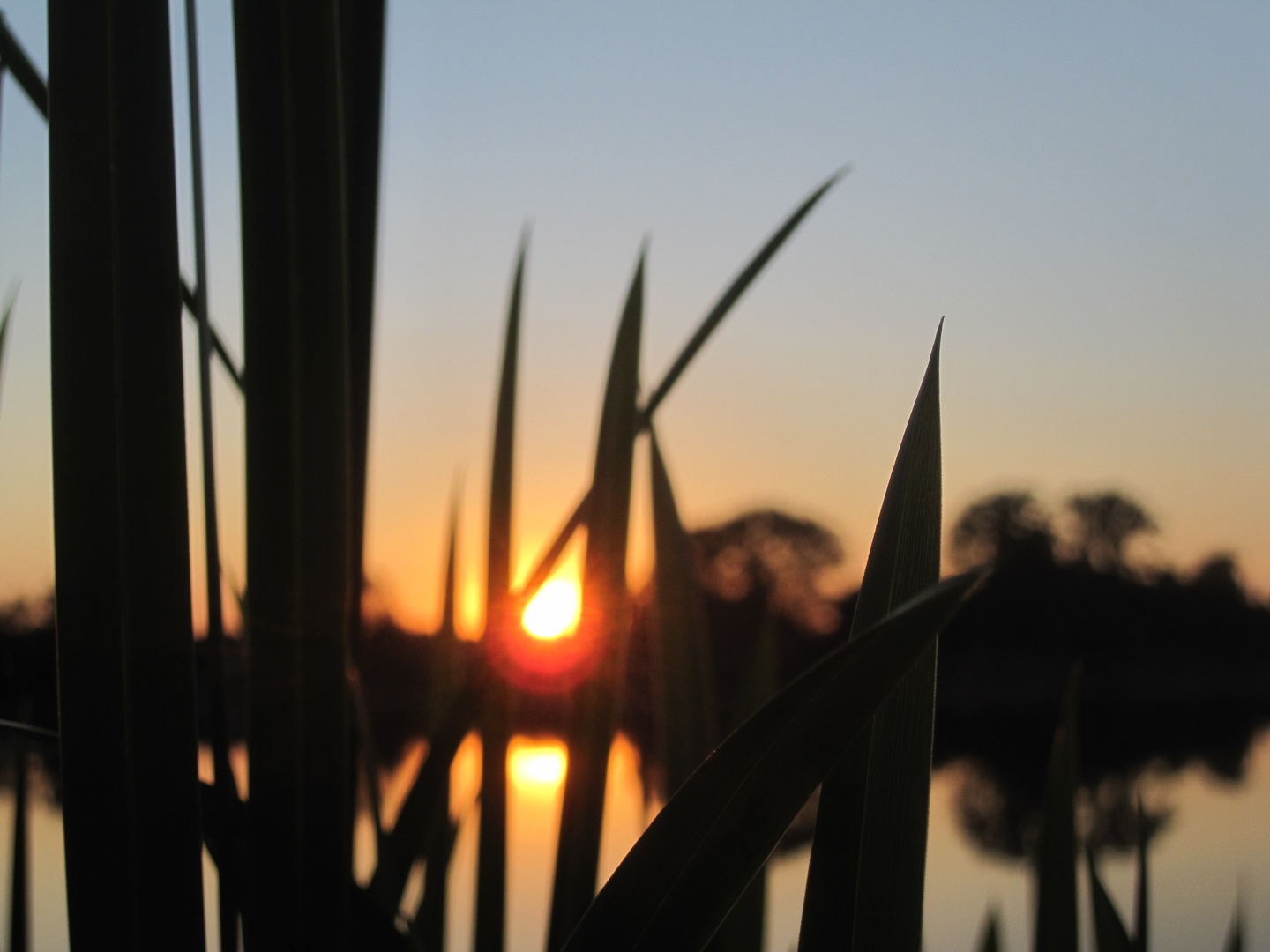 Sonnenuntergang an der Spree