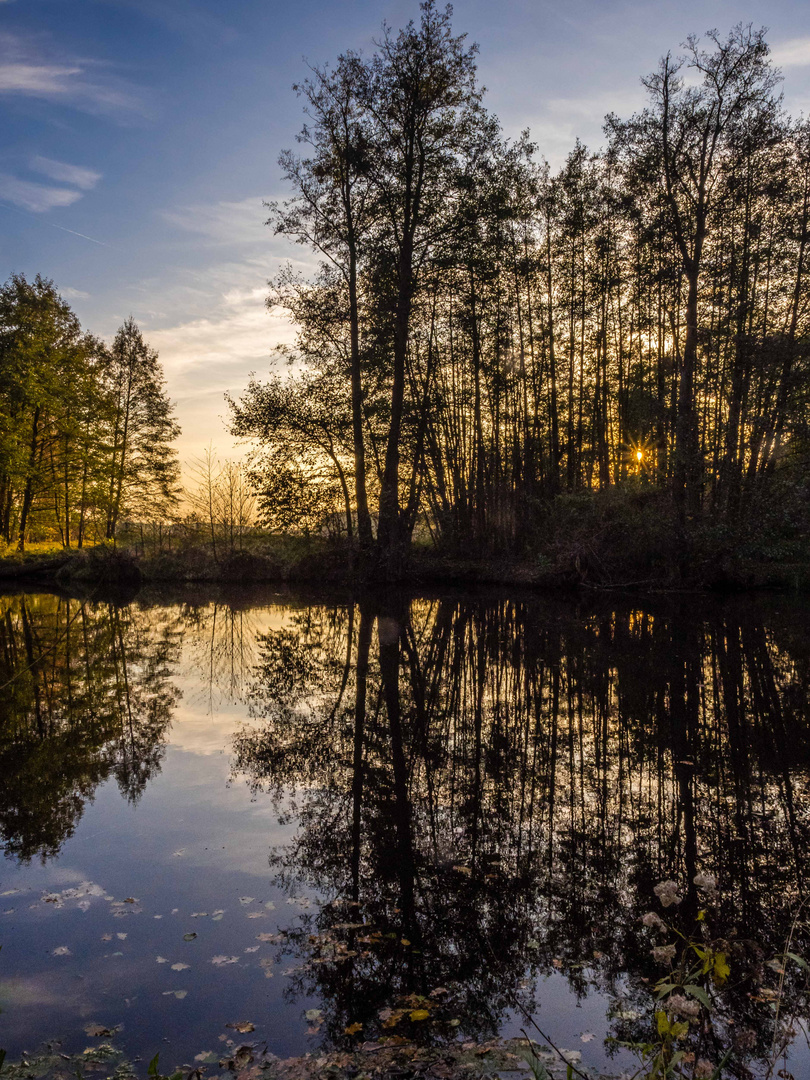 Sonnenuntergang an der Spree2