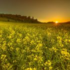 Sonnenuntergang an der Teufelsmauer