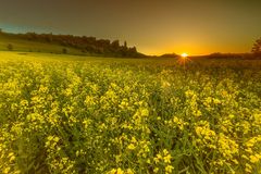 Sonnenuntergang an der Teufelsmauer