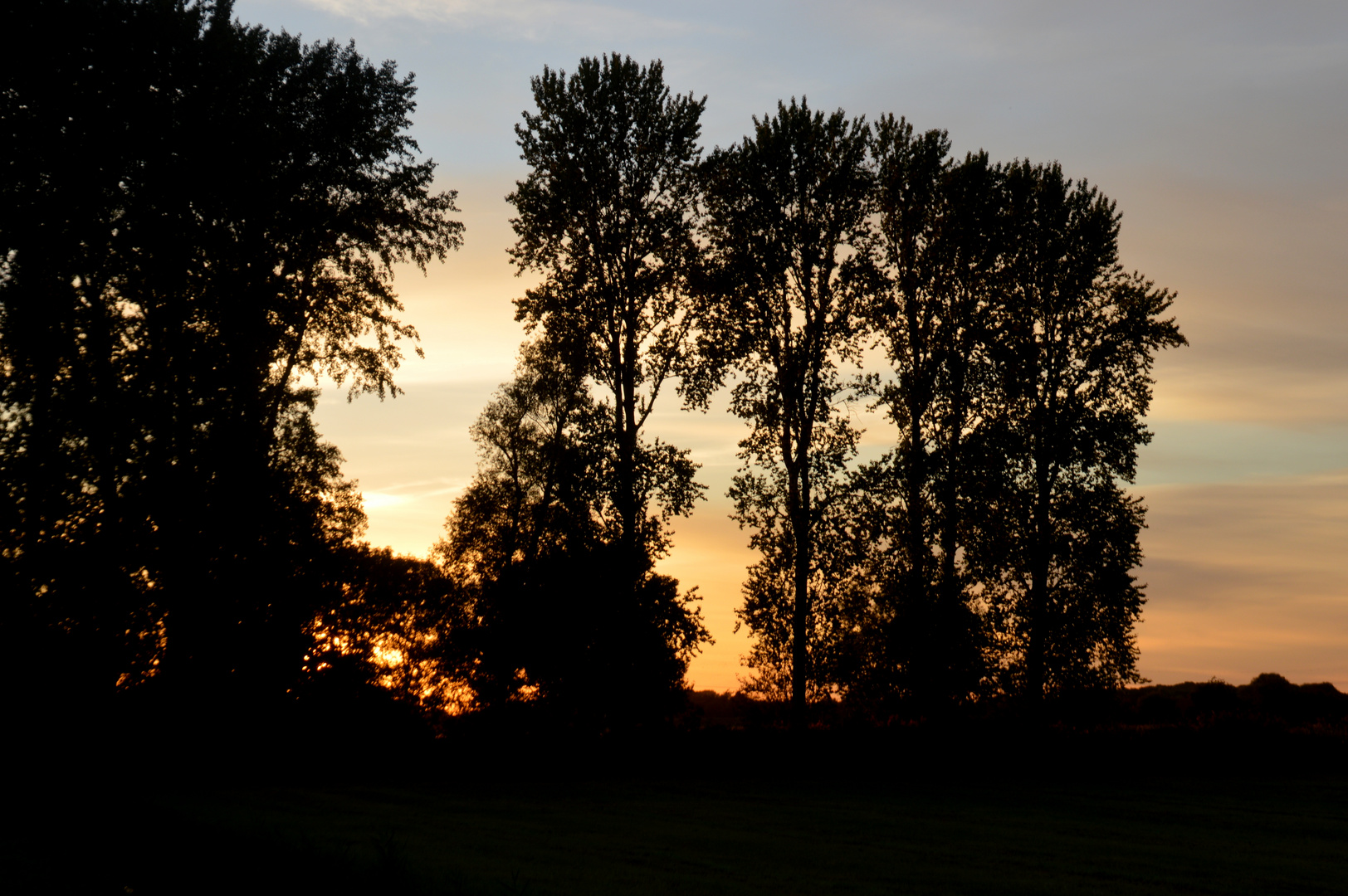 Sonnenuntergang an der Wedeler Elbe