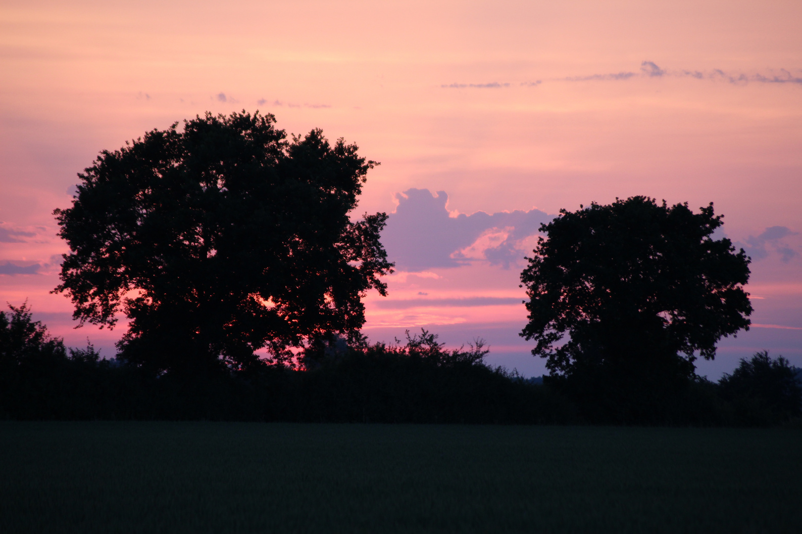 Sonnenuntergang an der Weser