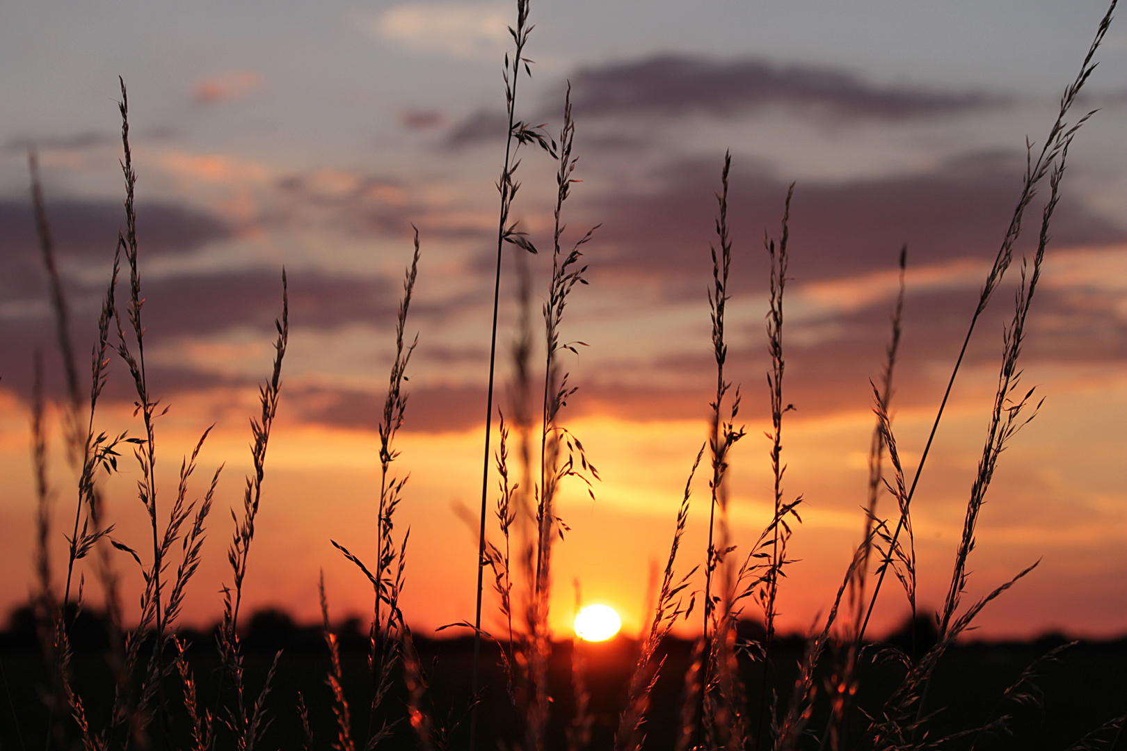 Sonnenuntergang an der Weser