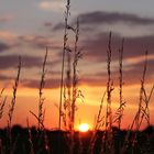 Sonnenuntergang an der Weser