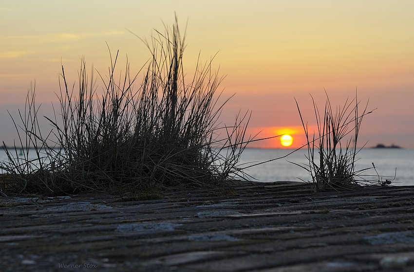 Sonnenuntergang an der Weser