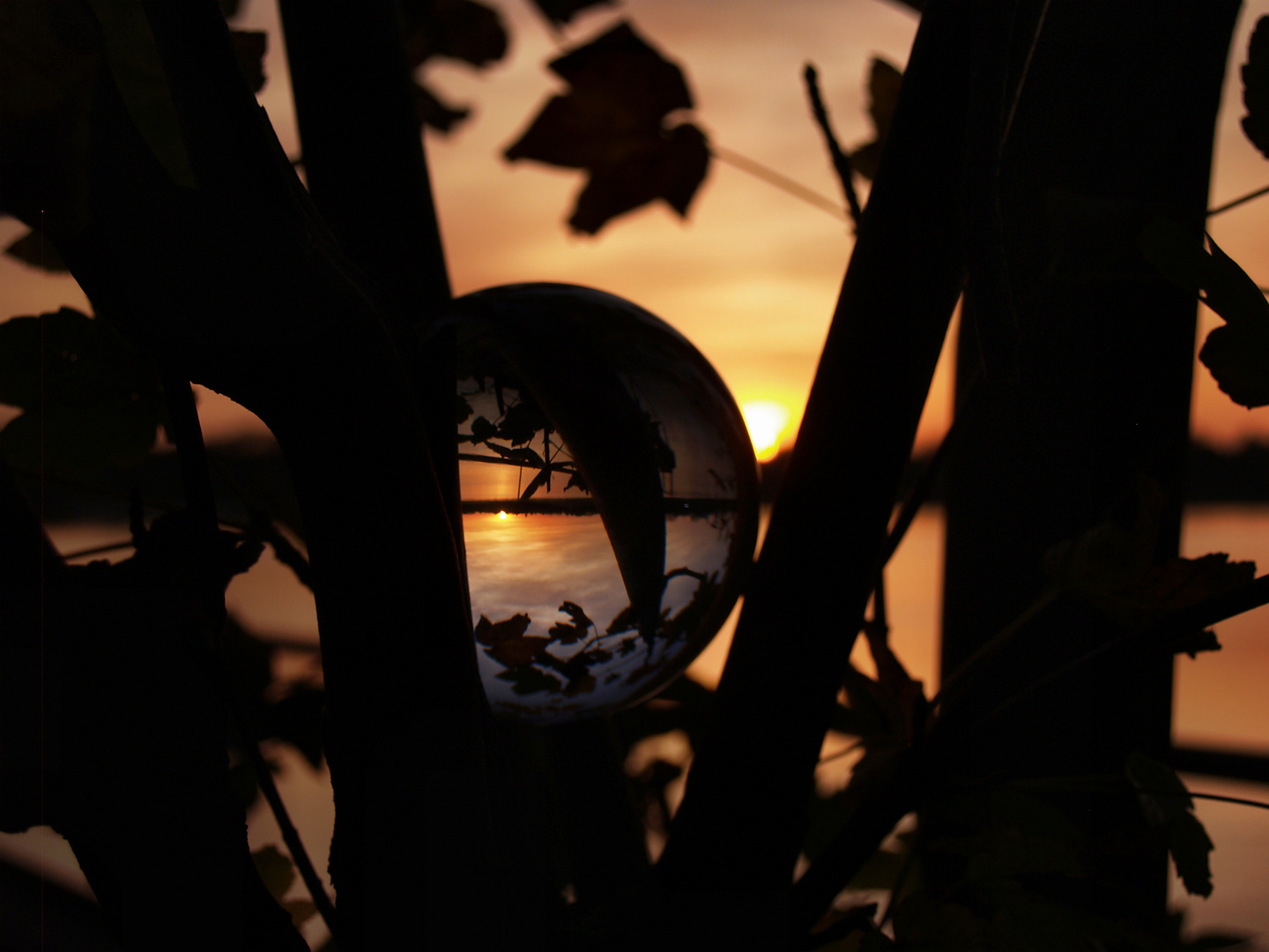 Sonnenuntergang an der Weser