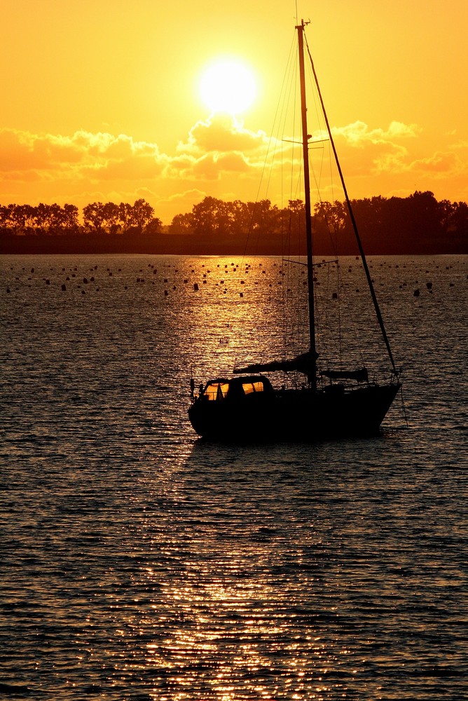 Sonnenuntergang an der Westerschelde von billabong86 