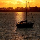 Sonnenuntergang an der Westerschelde