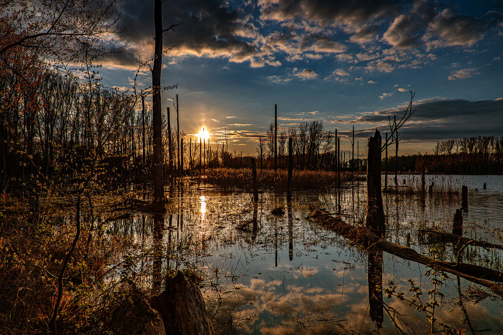 Sonnenuntergang an der Westerwiese...