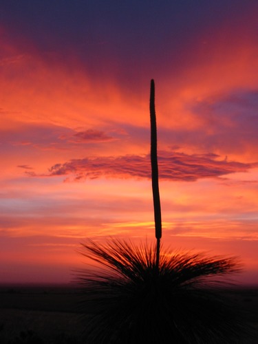 Sonnenuntergang an der Westküste