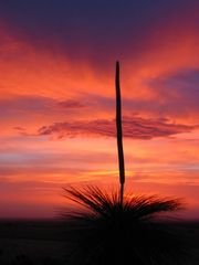 Sonnenuntergang an der Westküste