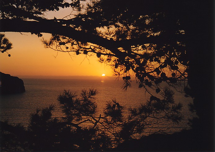 Sonnenuntergang an der Westküste Mallorcas / Nähe Port de Soller