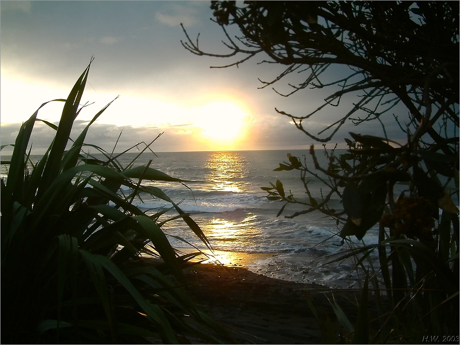 Sonnenuntergang an der Westküste / Oakura / NZ