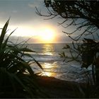 Sonnenuntergang an der Westküste / Oakura / NZ