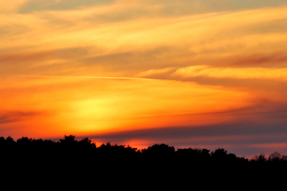 Sonnenuntergang an der Wiese