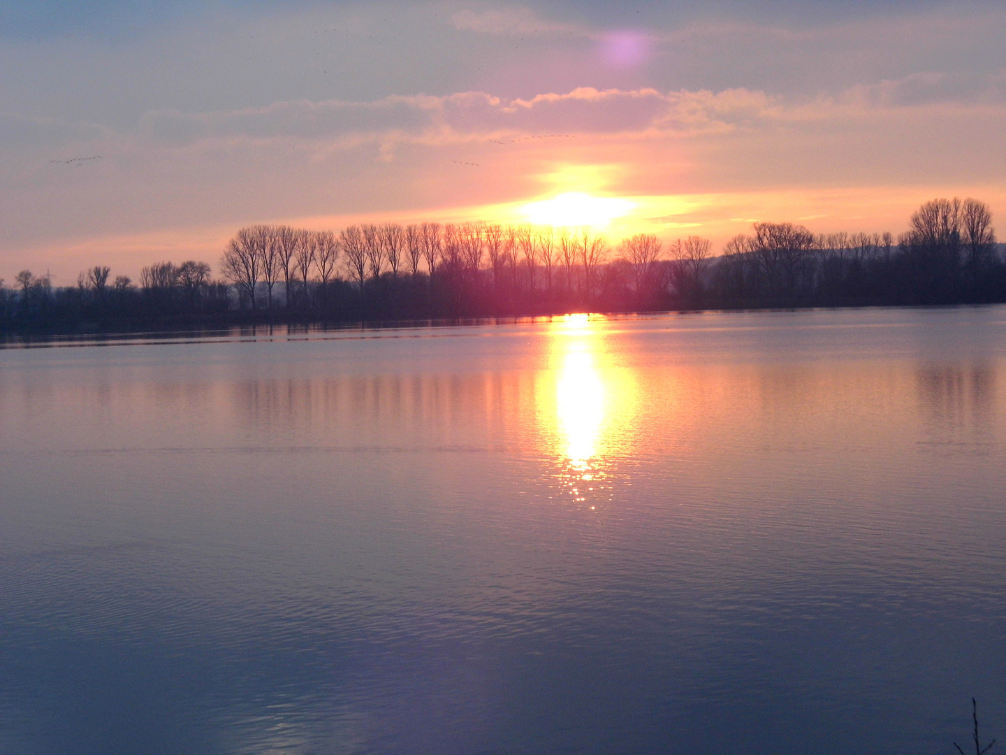 Sonnenuntergang an der Xantener Nordsee