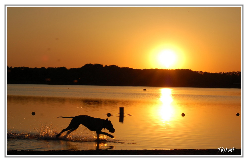 Sonnenuntergang an die " Groene Heuvels"