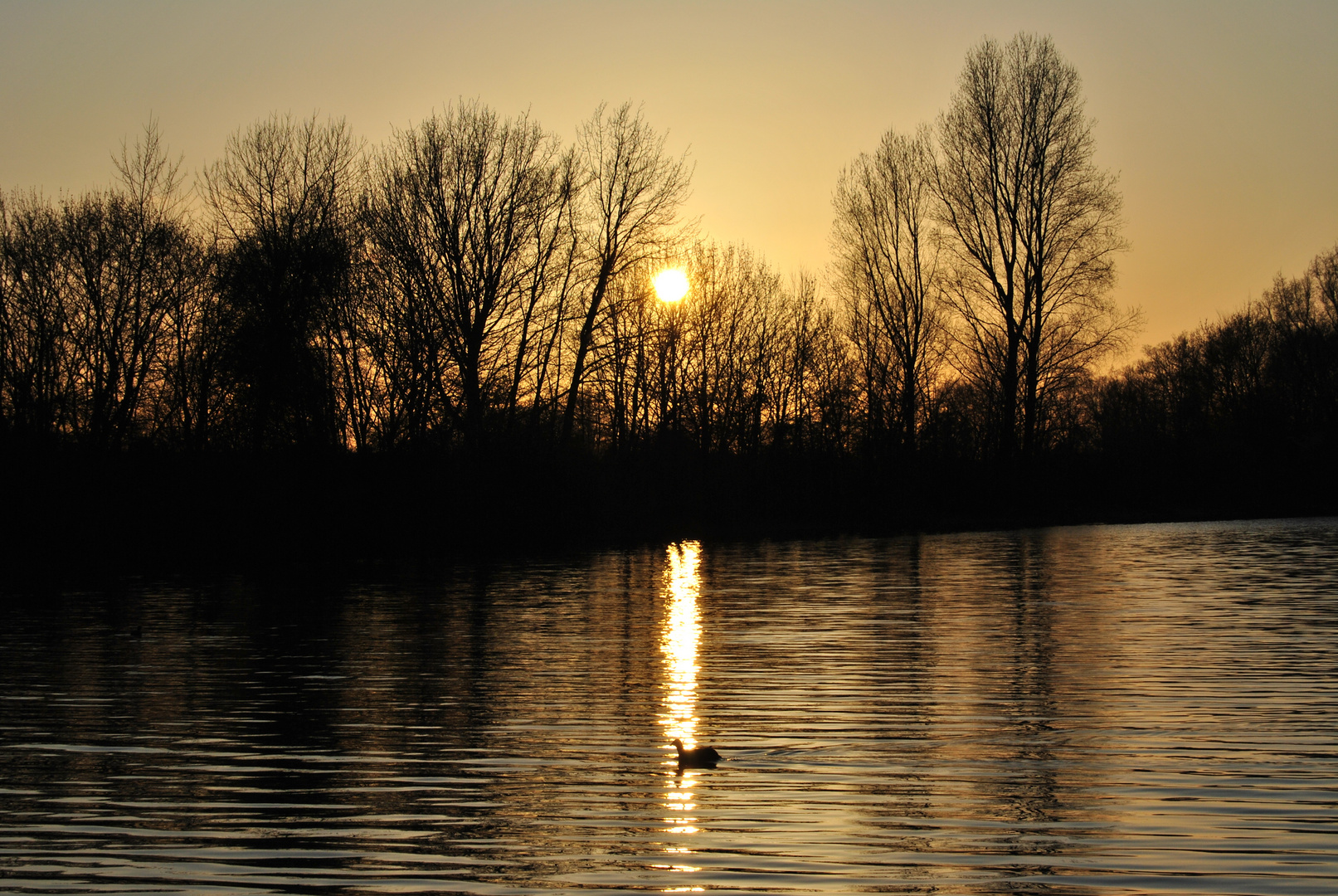 Sonnenuntergang an einem Frühlingsabend