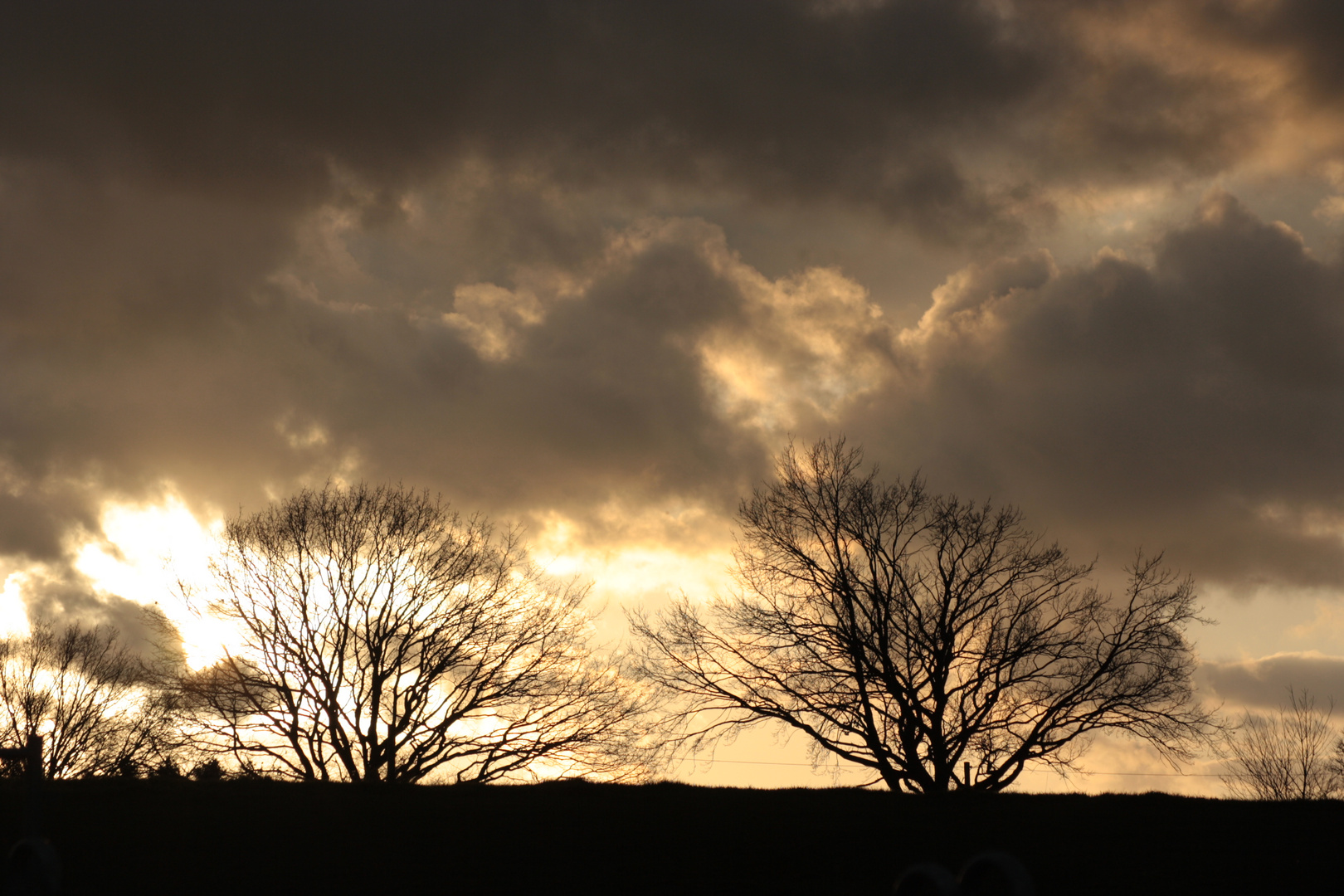 sonnenuntergang an einem schönen herbsttag