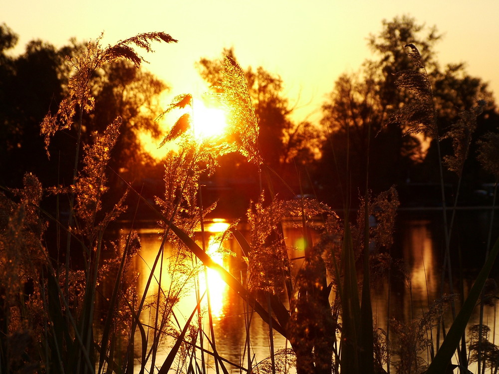 Sonnenuntergang an einem See bei Baden-Baden, auch in Deutschland gibt es schöne Farben