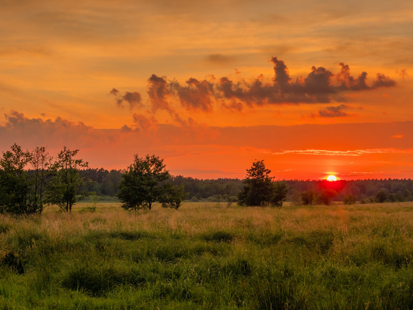 Sonnenuntergang an einem Sommertag in den Gosener Wiesen