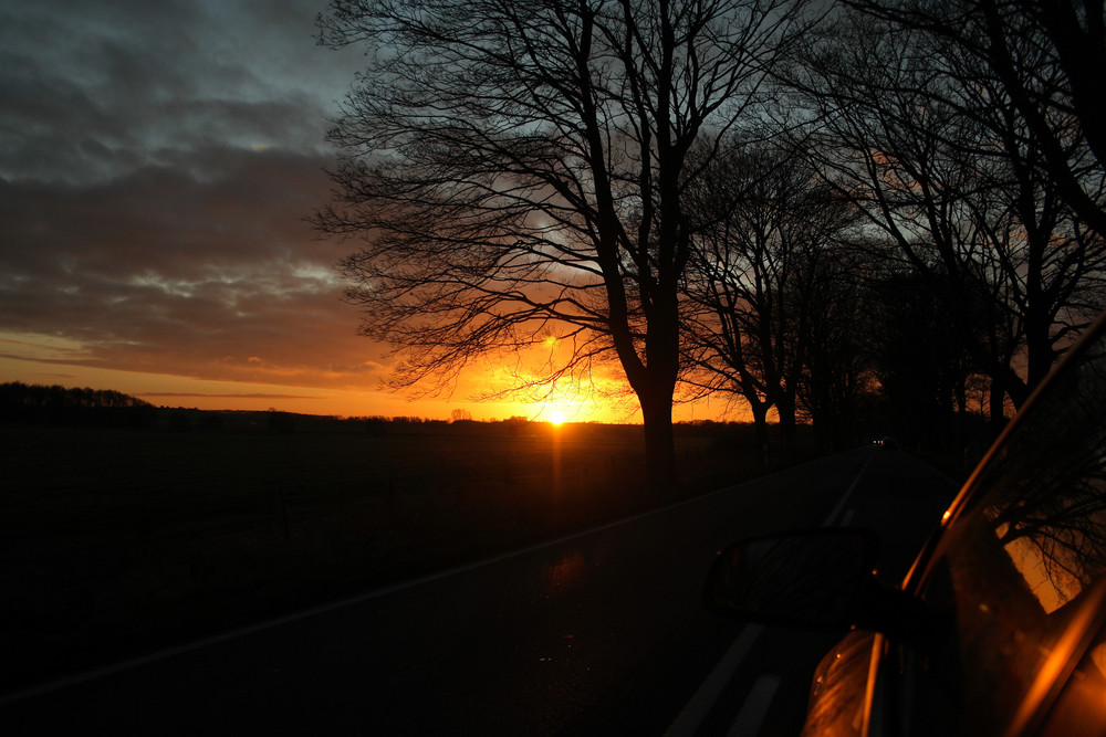 Sonnenuntergang an einer Allee