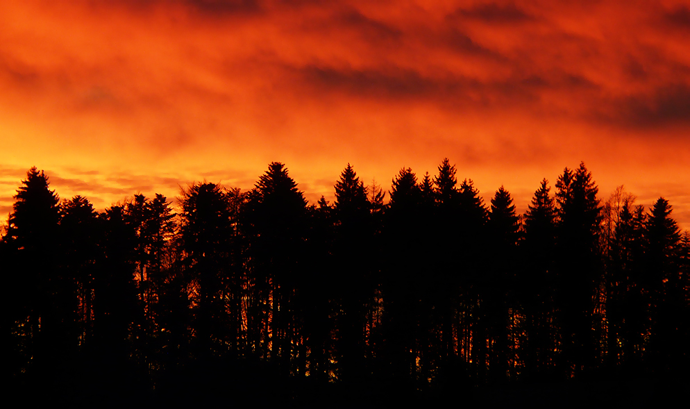 Sonnenuntergang an Heiligabend