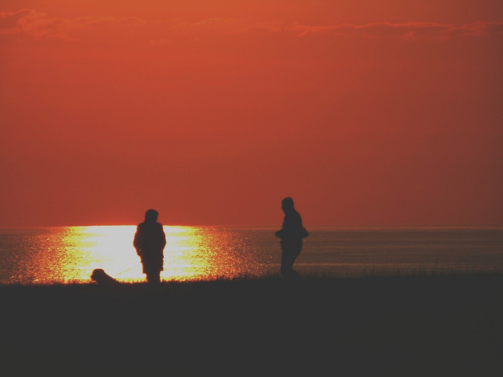 Sonnenuntergang an Lønstrups Steilküste ;Sogar der Hund genießt diesen Anblick.