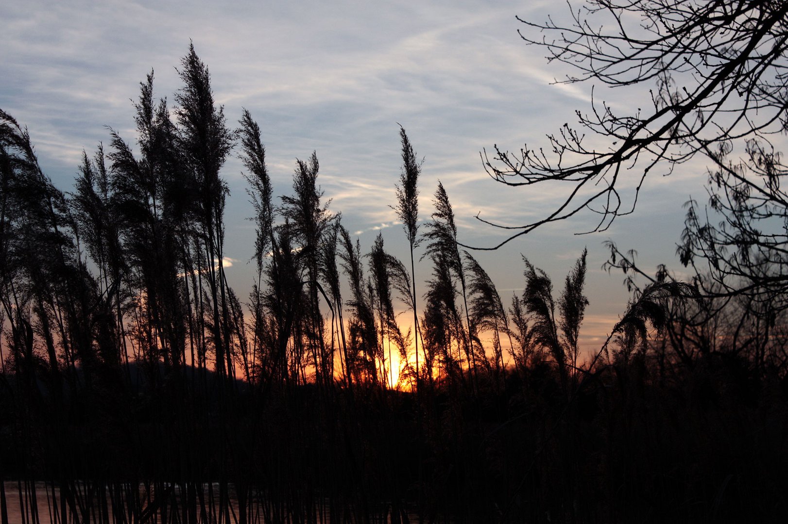 Sonnenuntergang an meinem Lieblingssee