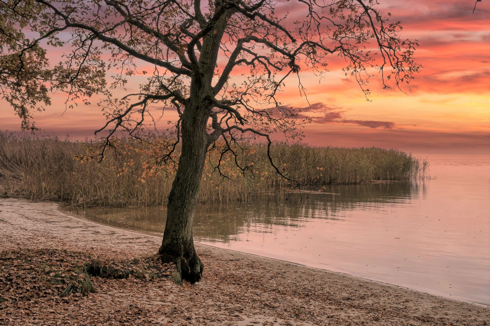 Sonnenuntergang an meinem Lieblingsstrand