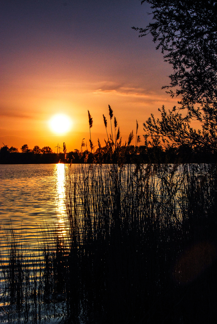 sonnenuntergang an rolle see