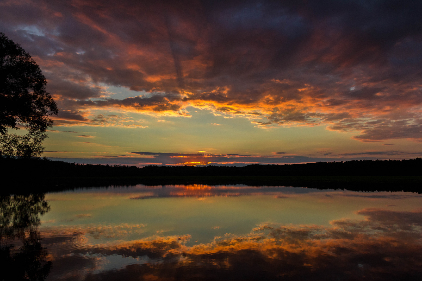 Sonnenuntergang an See (Spreewald)