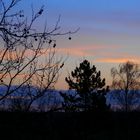 Sonnenuntergang an Weihnachten im Münsterland