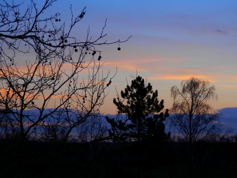 Sonnenuntergang an Weihnachten im Münsterland