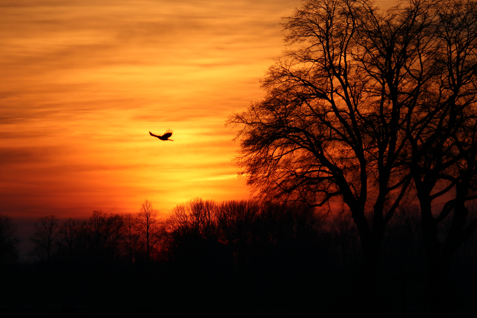 Sonnenuntergang Anfang Februar