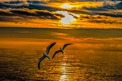 Sonnenuntergang- Atlantik