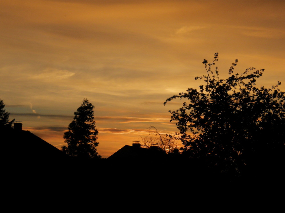 Sonnenuntergang auch in Lippe schön:-)