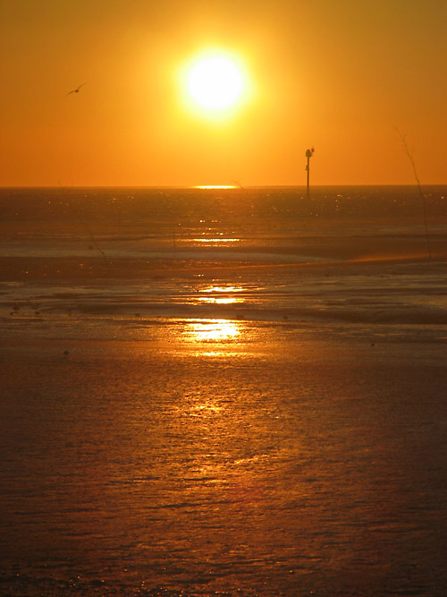 Sonnenuntergang auf Ameland