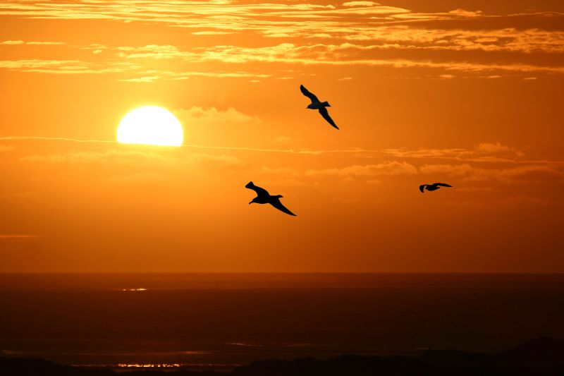 Sonnenuntergang auf Amrum