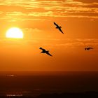 Sonnenuntergang auf Amrum