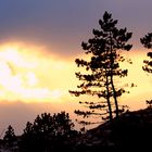 Sonnenuntergang auf Amrum