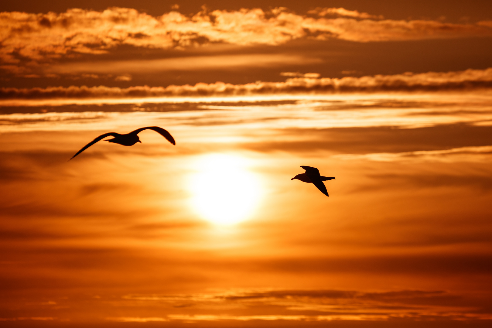 Sonnenuntergang auf Amrum 