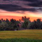 Sonnenuntergang auf Bali