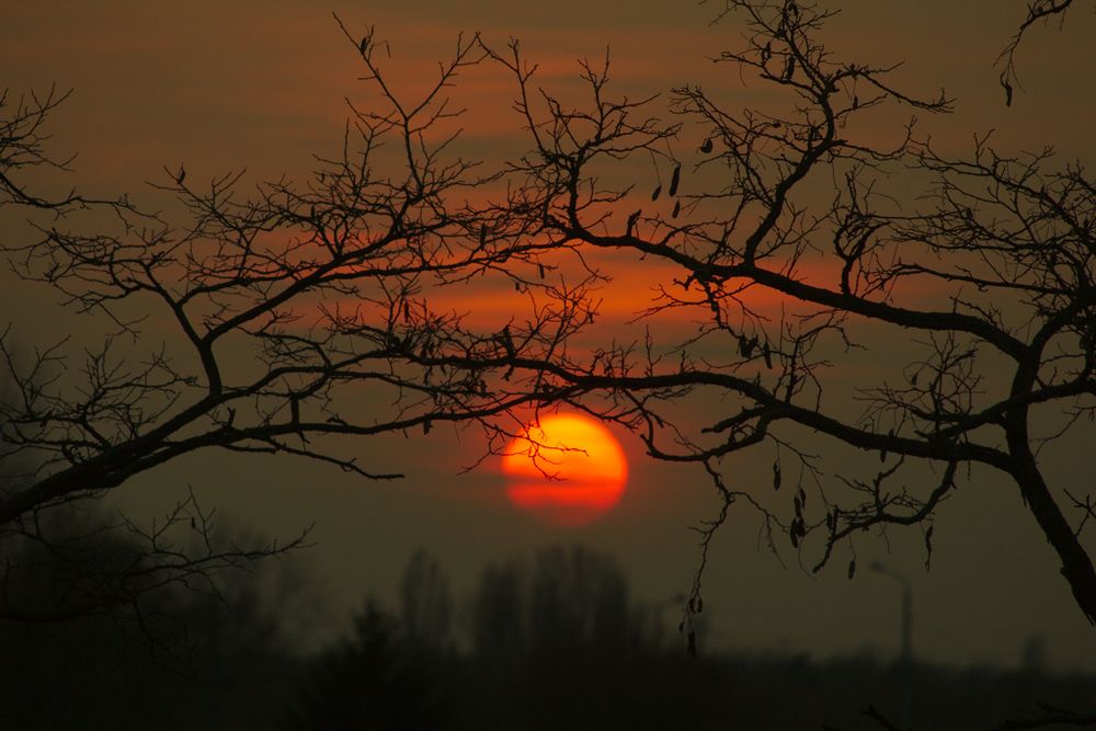 Sonnenuntergang auf Balkonien