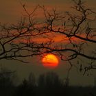 Sonnenuntergang auf Balkonien