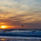 Sonnenuntergang auf Baltrum