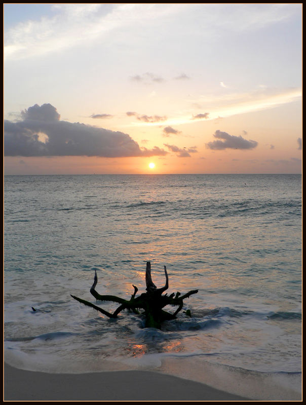 Sonnenuntergang auf Bird Island